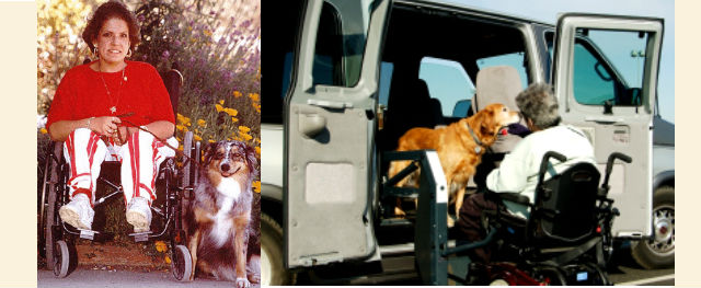 Service Dog Training Courses